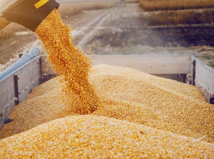 Unsere zwei Standbeine