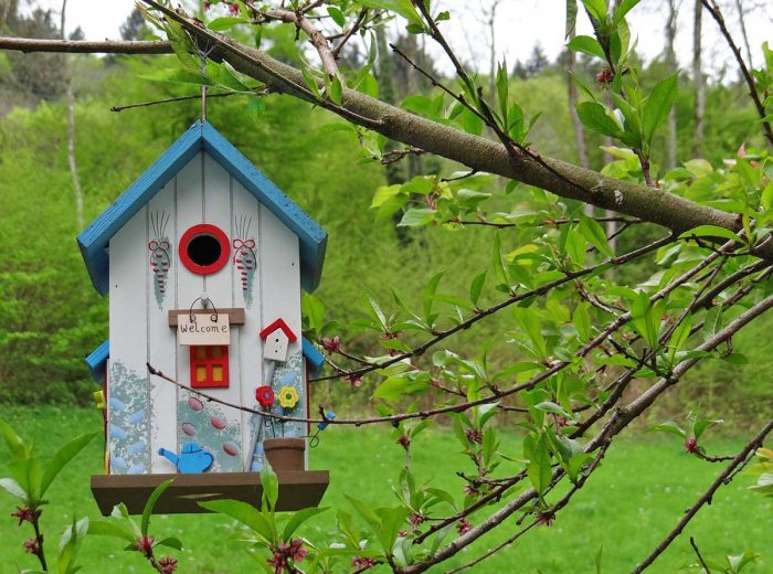 bird-house-329236_1280 Tierfutter & Tierbedarf im Garten